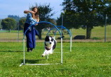 DSC06478.JPG