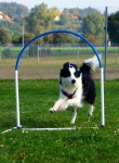 DSC06497 2.JPG