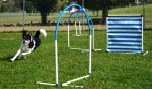 DSC06675.JPG