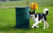 DSC06693.JPG