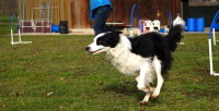 DSC08233.JPG