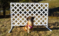 DSC08542.JPG
