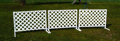 DSC08542.JPG