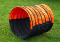 DSC08734.JPG
